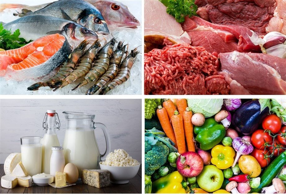 Fish Dairy Meat Vegetable Refrigerated Storage - TITAN Containers