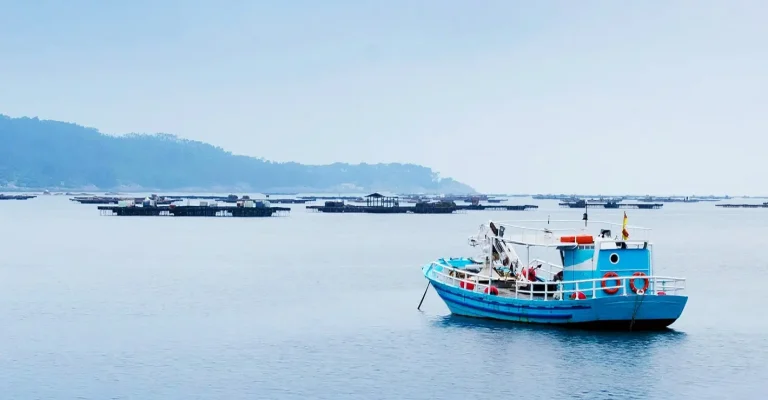 Velkolepý návrat tuňáka do Dánska